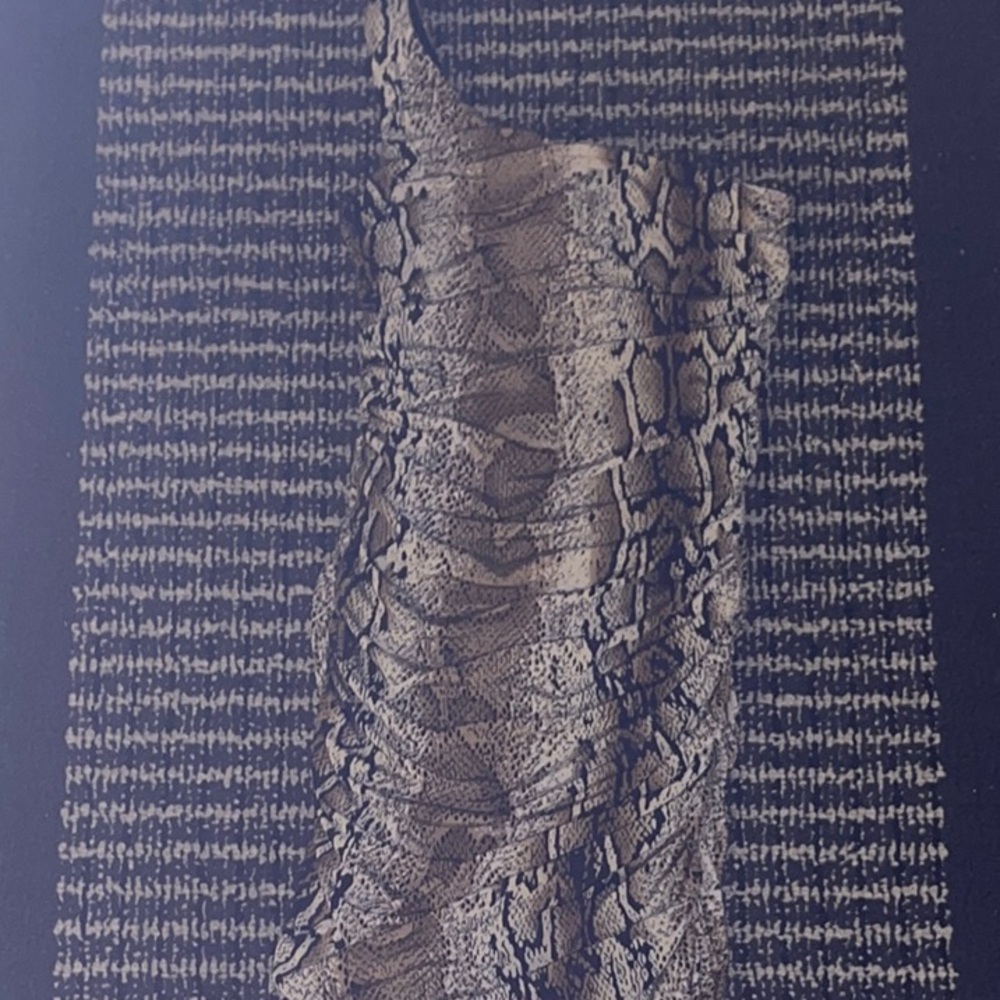 Snakeskin Print Midi Skirt
